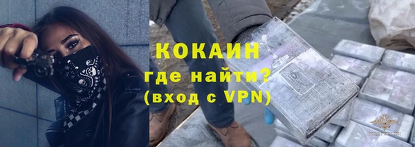 крисы Горняк