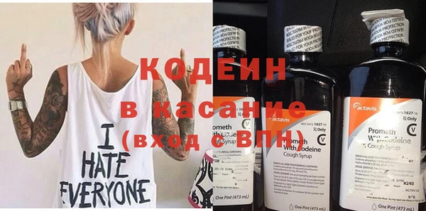 крисы Горняк