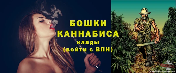 крисы Горняк