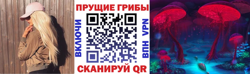Галлюциногенные грибы Psilocybine cubensis  нарко площадка Telegram  Мещовск 